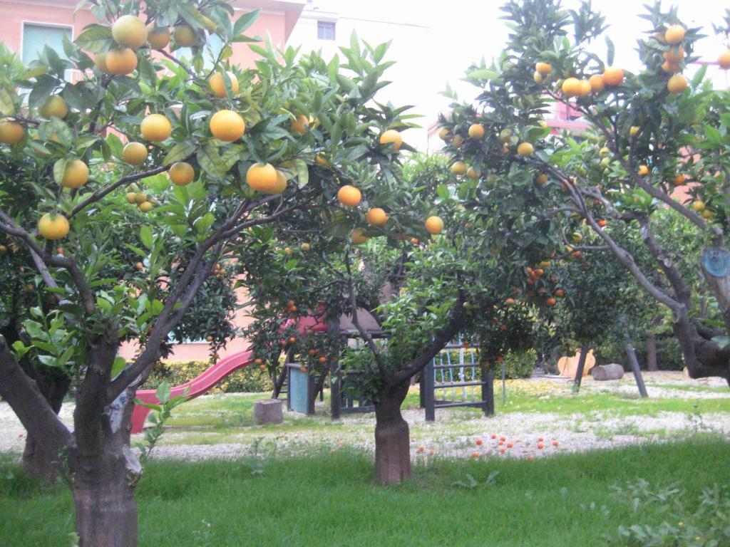 Hotel Villa San Giuseppe سان بارتولومِيو آل ما المظهر الخارجي الصورة